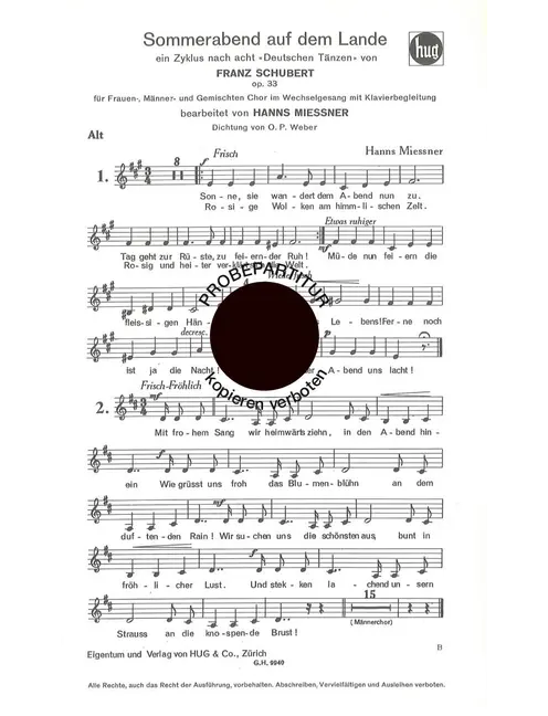 Sommerabend auf dem Lande